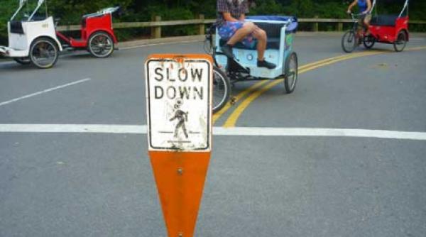 central park un loc educat