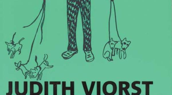 intre putere si renuntare