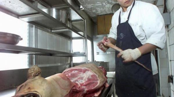 cainii si pisicile ar putea fi scosi de pe meniurile din china