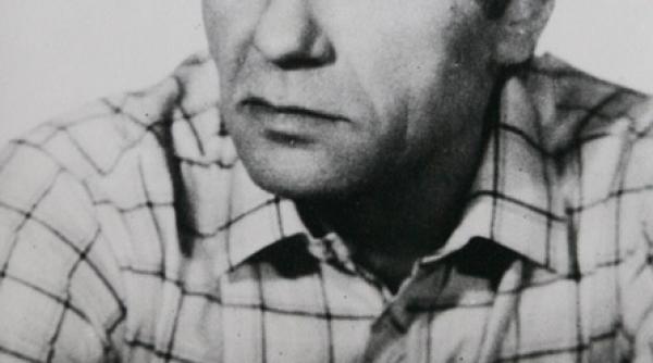 dan spataru rafinat si sentimental