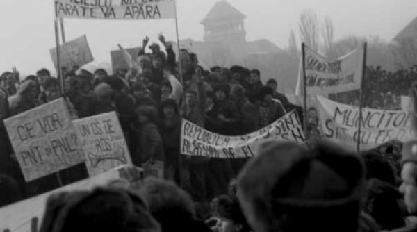 prima mineriada taranisti in blugi si geaca care n au vazut o vaca