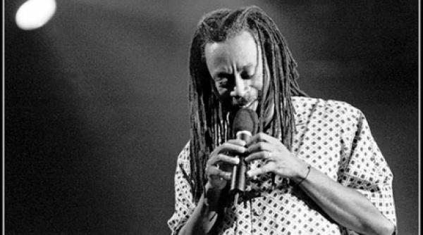 omul zilei bobby mcferrin muzician