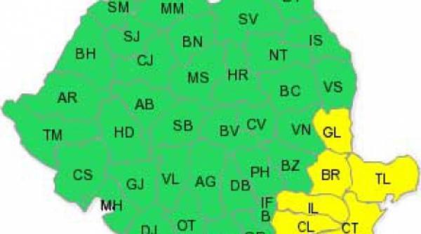 cod galben de ninsori pentru sud estul tarii