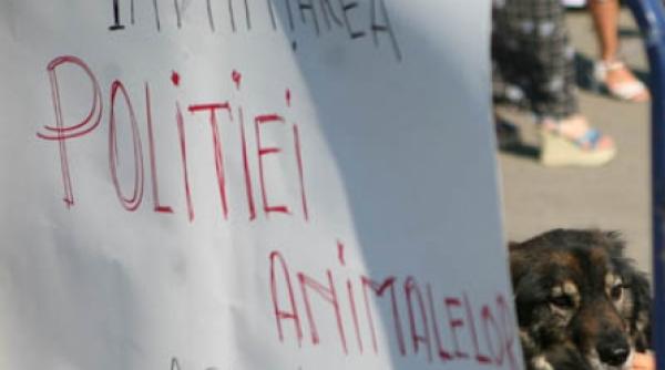 politia animalelor isca dezbateri aprinse in senat