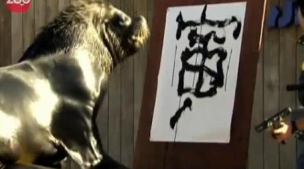 un leu de mare stie sa scrie in chineza