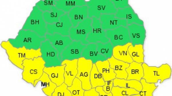 cod galben de ninsori