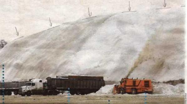 deszapezirea la canadieni