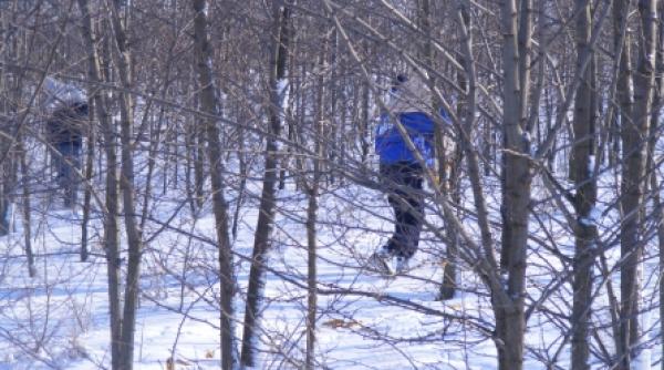 hrana pentru salbaticiuni