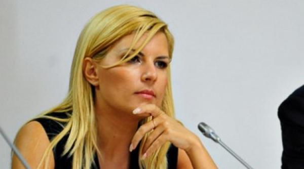 udrea fenomenul evaziunii fiscale in turism e mare