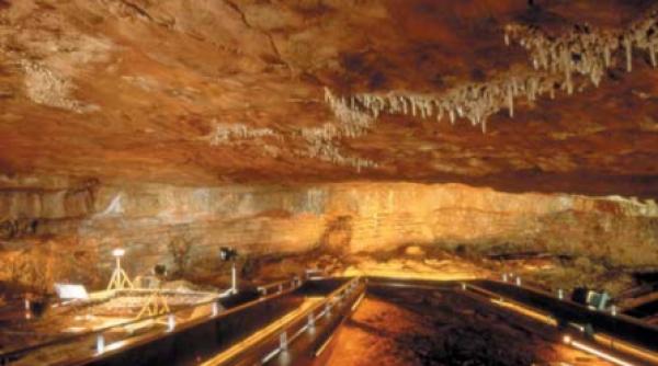 altamira din nou in circuit