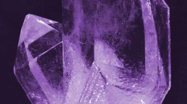 nu ne permitem violet