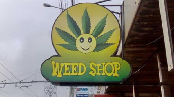 drogurile legale ilegale