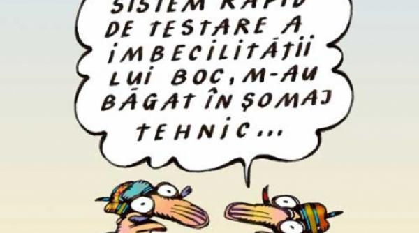 guverne in somaj tehnic