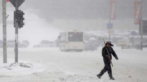 saint bernarzii cu lopata si cazma