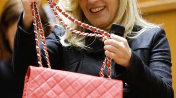 udrea vrea sa cheltuiasca 40 de milioane de euro pe studii