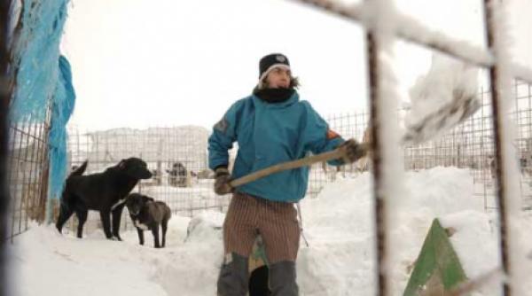 cainii din glina deszapeziti