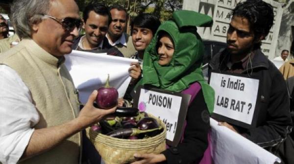 india fara vinete mg