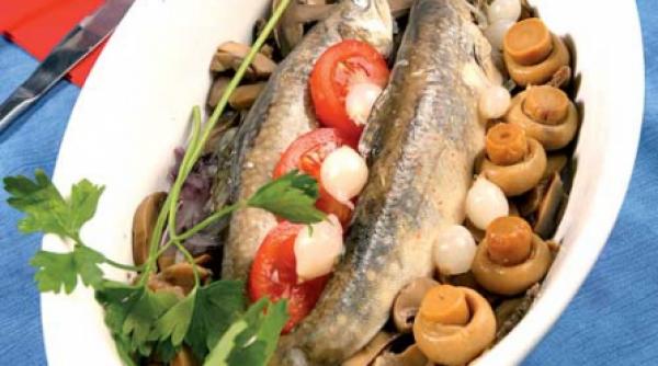 o saptamana cu semne