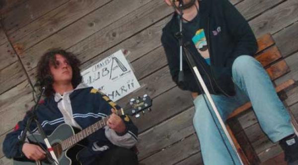 scenariu de mare succes tapinarii