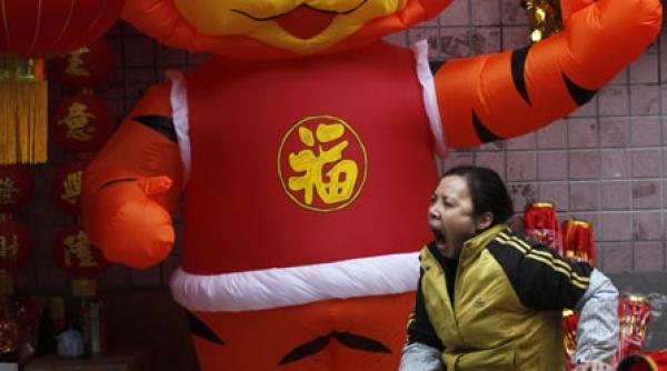 2010 anul tigrului yang de metal