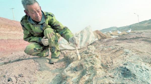 orasul dinozaurilor un disneyland in devenire