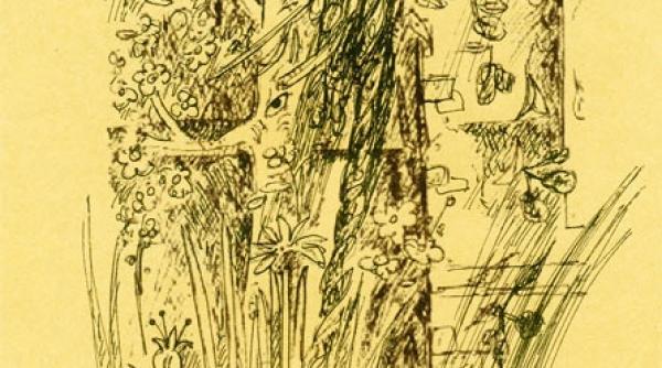 recviem pentru tanase 30