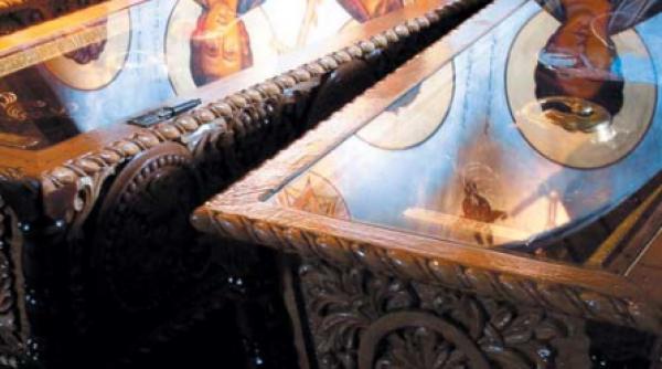 rezistenta dobrogeana