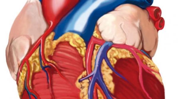 avem grija de inima ta