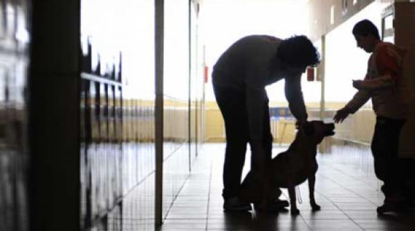 copii si ingeri ascunsi