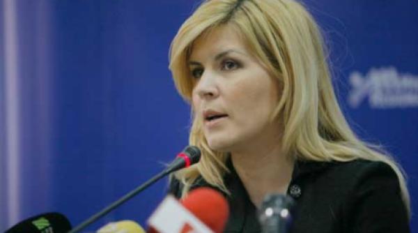 udrea acuzata de dumping in constructii