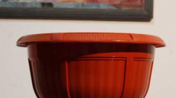 fiti creativi chiar si cand natura nu ofera prea mult