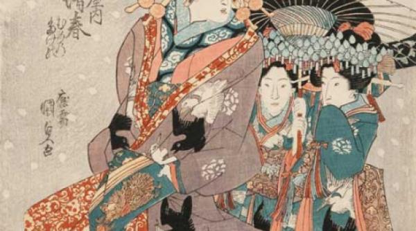 o vizita cu ghidaj gratuit