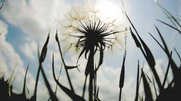 sub talpa cerului indoliat