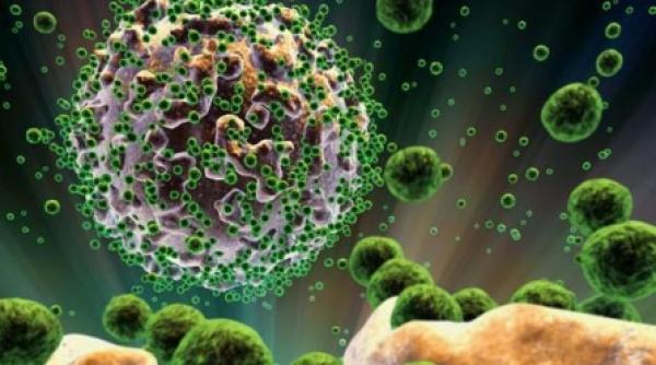 epidemia de sida ar putea fi controlata in cinci ani