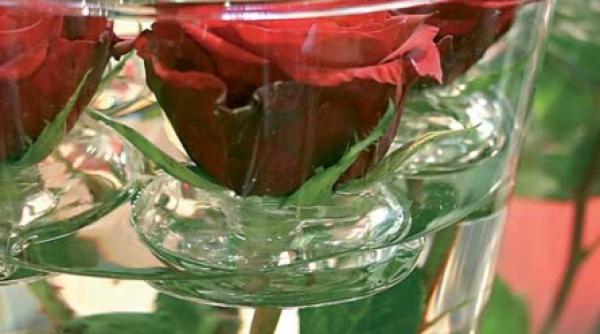 apa usoara face batranetea usoara