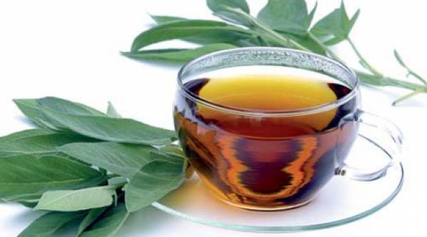 salvia iti promite ca te ingrasi