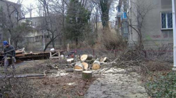 defrisari in floreasca pentru un hotel de lux