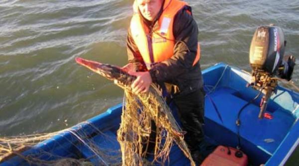 guvernul inaspreste conditiile de pescuit