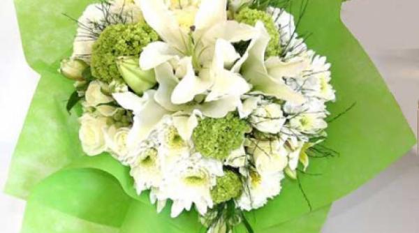 crinul frumusete nobila