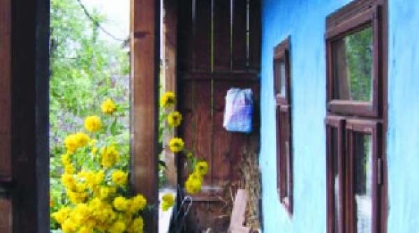 agonia casutelor albastre