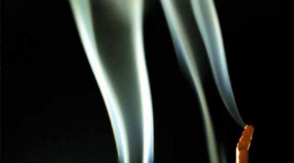 tamaia leacul oferit de zei oamenilor