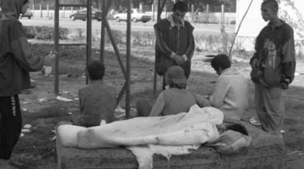 aurolacii au iesit pe strada