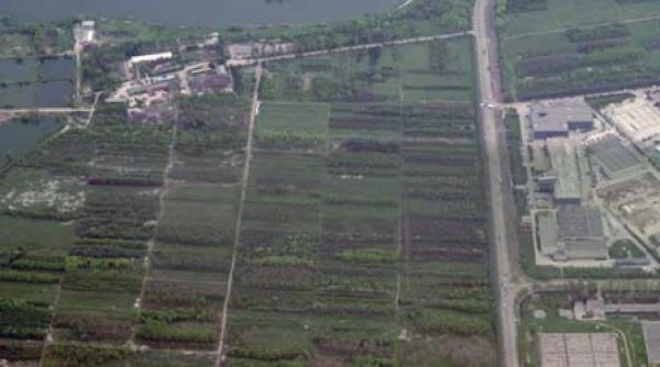 blocuri cu 45 de etaje in pepiniera tei toboc