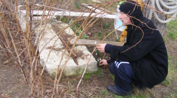 apartamentul cu 3000 de cactusi