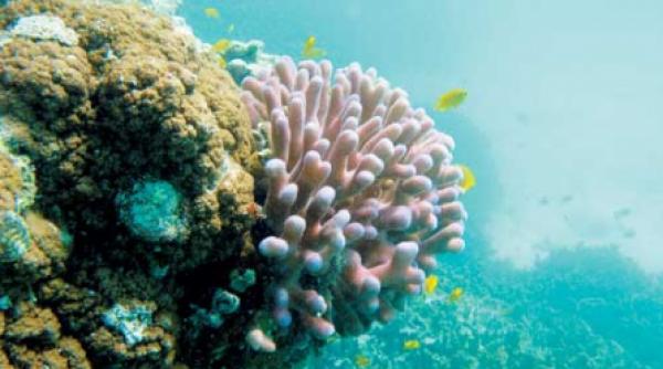 paranormalul din apa