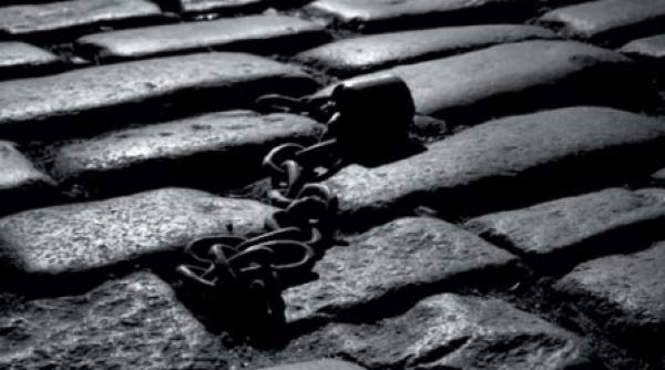 fericirea ca o balena