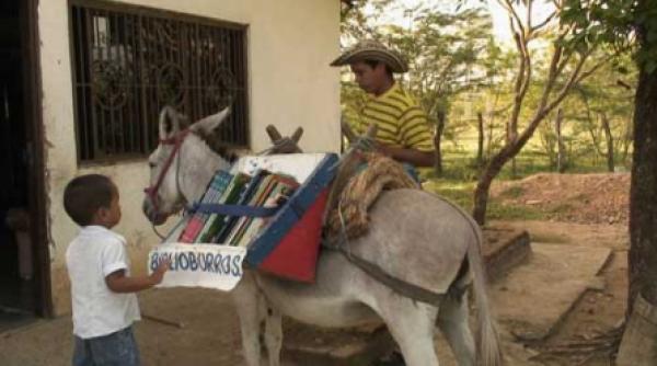 secretul fericirii il detin doi magarusi