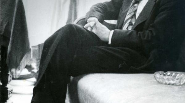 marele singuratic marin preda