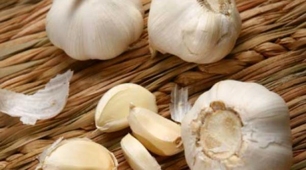 regatul unit usturoiul fara miros