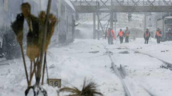 concedieri in functie de pile cunostinte relatii